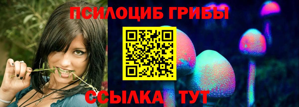 Псилоцибиновые грибы прущие грибы Туапсе